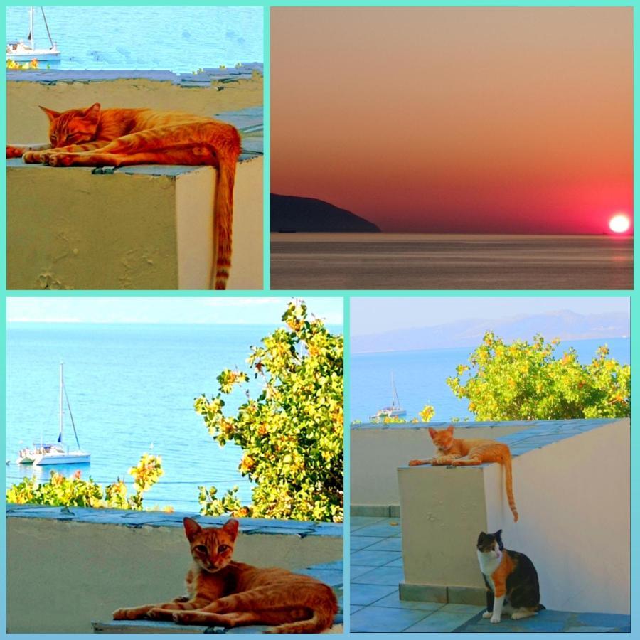 Evangelia House Sea View Apartments Agia Pelagia  Esterno foto